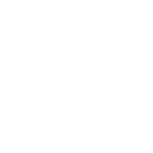 brandoom logo white